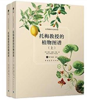 《托梅教授的植物图谱》共2册世界博物学经典图谱-书舟读书分享