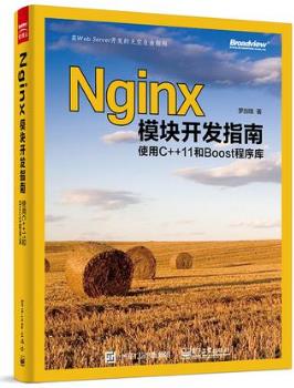 罗剑锋《Nginx模块开发指南:使用C++11和Boost程序库》-书舟读书分享