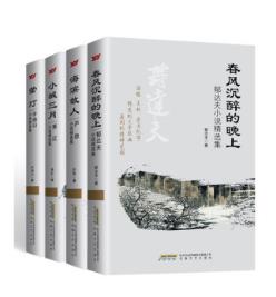 《中国著名作家的必读精选小说集》（套装共4册）-书舟读书分享